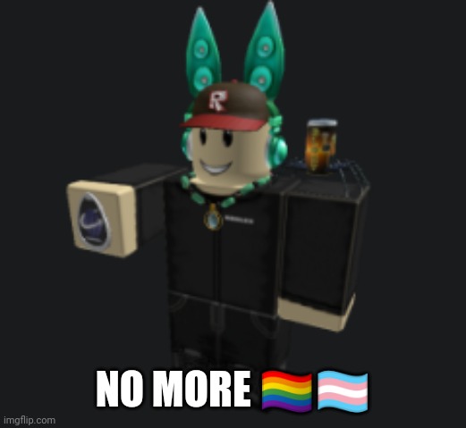 ah yes | NO MORE ?️‍??️‍⚧️ | image tagged in ah yes | made w/ Imgflip meme maker