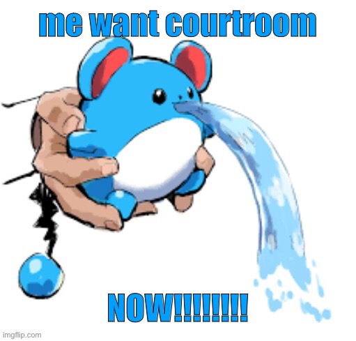 (a courtroom not made by me) | me want courtroom; NOW!!!!!!!! | image tagged in marill 5 | made w/ Imgflip meme maker