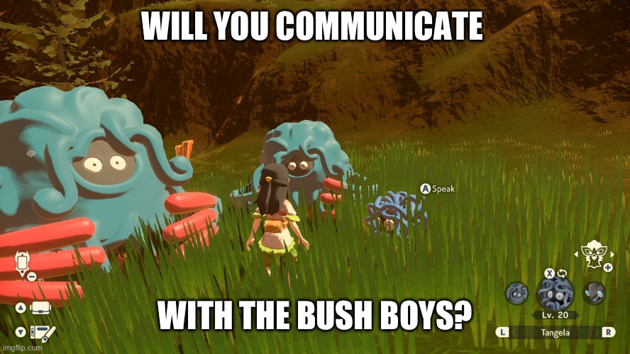 They are uncivilized should we civilize them? | WILL YOU COMMUNICATE; WITH THE BUSH BOYS? | image tagged in pokemon | made w/ Imgflip meme maker