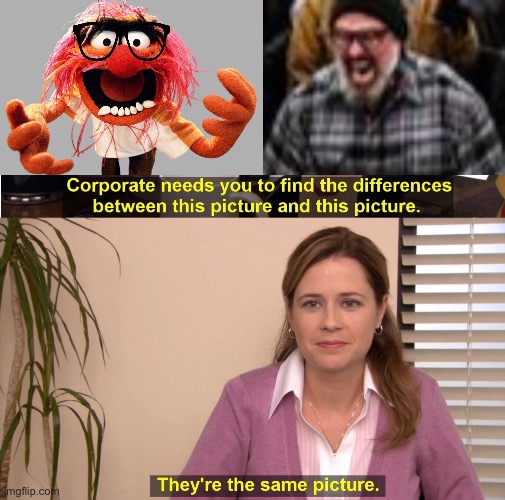 image tagged in animal muppets,jan 6th,memes,they're the same picture | made w/ Imgflip meme maker