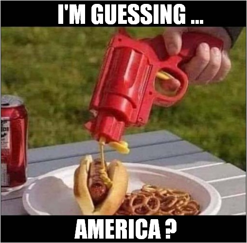 Where Can This Be ? | I'M GUESSING ... AMERICA ? | image tagged in mustard,gun,america | made w/ Imgflip meme maker