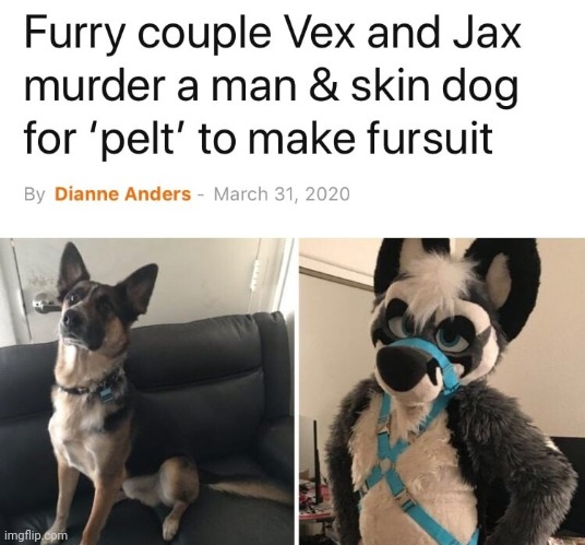 Proof that furries are evil | image tagged in proof that furries are evil | made w/ Imgflip meme maker