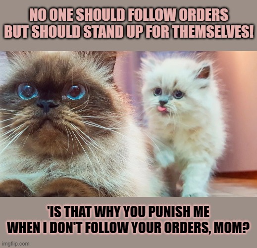 This #lolcat wonders if we want others to follow orders or not | NO ONE SHOULD FOLLOW ORDERS
BUT SHOULD STAND UP FOR THEMSELVES! 'IS THAT WHY YOU PUNISH ME
WHEN I DON'T FOLLOW YOUR ORDERS, MOM? | image tagged in hypocrisy,lolcat,government,compliance,think about it | made w/ Imgflip meme maker
