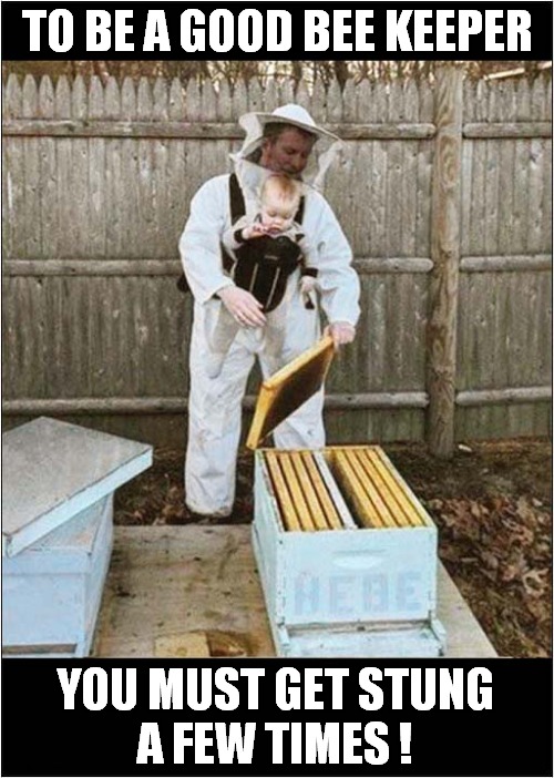 Start Them Young In The Family Honey Business ! | TO BE A GOOD BEE KEEPER; YOU MUST GET STUNG
A FEW TIMES ! | image tagged in bee keeping,child,stung,dark humour | made w/ Imgflip meme maker