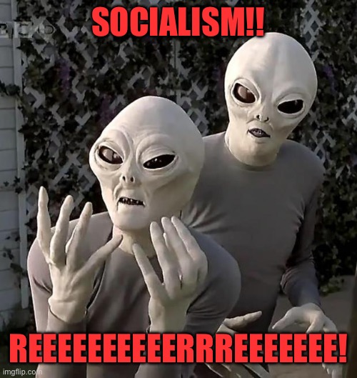 Aliens | SOCIALISM!! REEEEEEEEEERRREEEEEEE! | image tagged in aliens | made w/ Imgflip meme maker