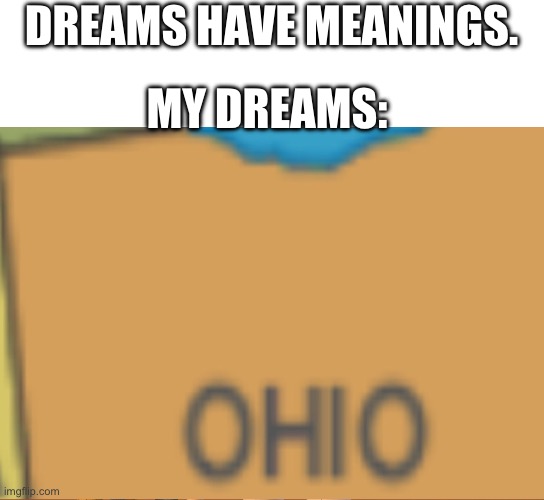 DREAMS HAVE MEANINGS. MY DREAMS: | image tagged in memes | made w/ Imgflip meme maker