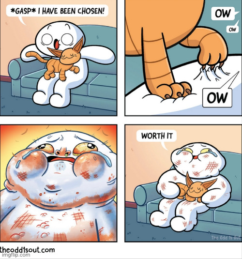 can James even draw a cat lol (#2,558) | image tagged in comics/cartoons,comics,theodd1sout,cats,you were the chosen one,worth it | made w/ Imgflip meme maker