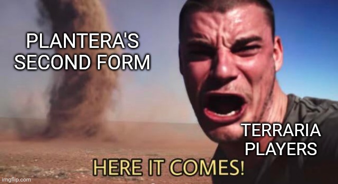 HERE IT COMES! | PLANTERA'S SECOND FORM TERRARIA PLAYERS | image tagged in here it comes | made w/ Imgflip meme maker