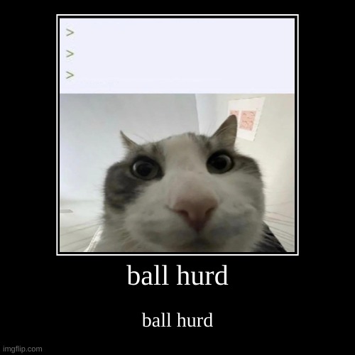 ball hurd | ball hurd | image tagged in funny,demotivationals | made w/ Imgflip demotivational maker