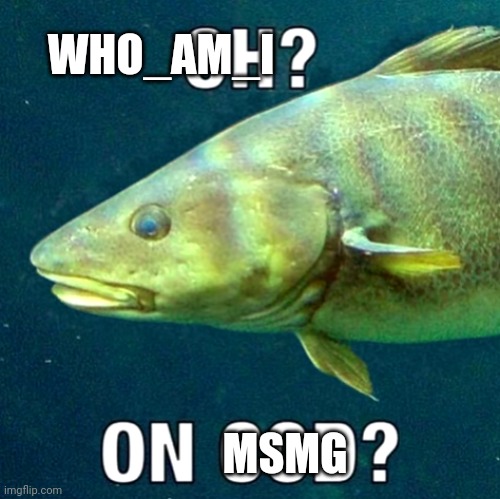 oh? on cod? | WHO_AM_I MSMG | image tagged in oh on cod | made w/ Imgflip meme maker