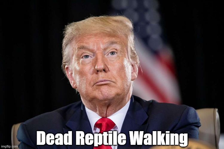 Dead Reptile Walking | Dead Reptile Walking | image tagged in low life,bottom feeder,hollow man,vapid man,fatuous man,vacant man | made w/ Imgflip meme maker