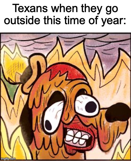 Help, im burrrrnninnnnggg! | Texans when they go outside this time of year: | image tagged in this is fine face melt | made w/ Imgflip meme maker