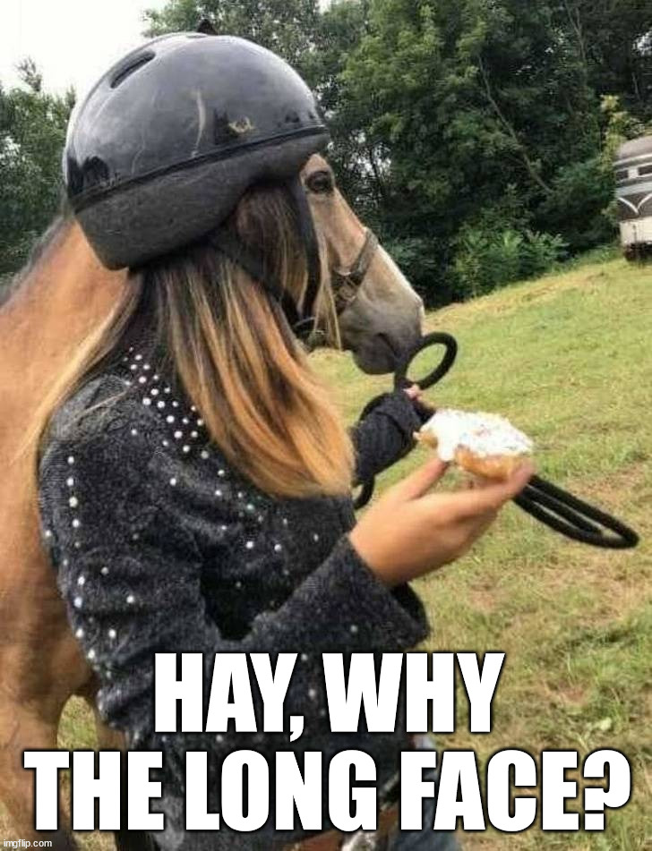 HAY, WHY THE LONG FACE? | made w/ Imgflip meme maker