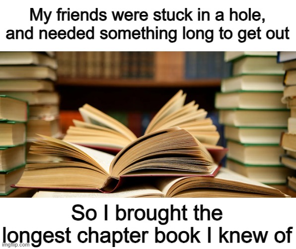 It'll totally work ;) | My friends were stuck in a hole, and needed something long to get out; So I brought the longest chapter book I knew of | made w/ Imgflip meme maker