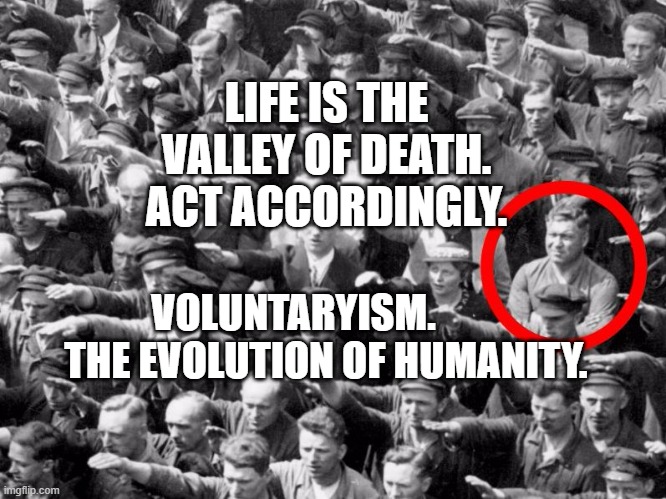 No nazi salute | LIFE IS THE VALLEY OF DEATH. ACT ACCORDINGLY. VOLUNTARYISM.         THE EVOLUTION OF HUMANITY. | image tagged in no nazi salute | made w/ Imgflip meme maker