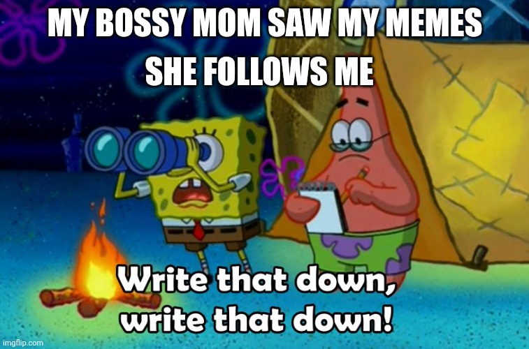 write that down | SHE FOLLOWS ME; MY BOSSY MOM SAW MY MEMES | image tagged in write that down | made w/ Imgflip meme maker