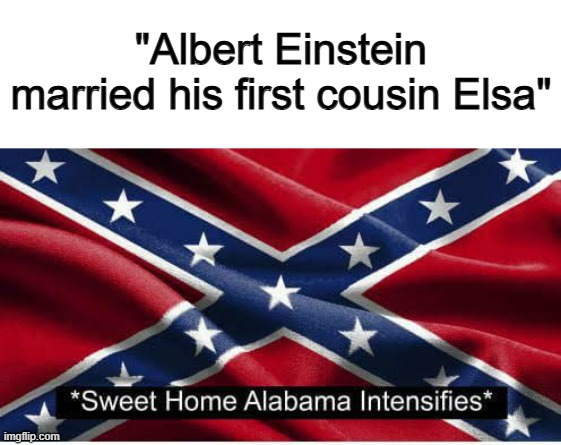 Why... ;-; | "Albert Einstein married his first cousin Elsa" | image tagged in sha intensifies | made w/ Imgflip meme maker