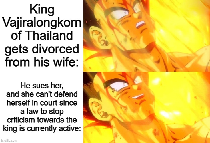 *Evil laughter* | King Vajiralongkorn of Thailand gets divorced from his wife:; He sues her, and she can't defend herself in court since a law to stop criticism towards the king is currently active: | image tagged in blank white template,bardock death meme | made w/ Imgflip meme maker