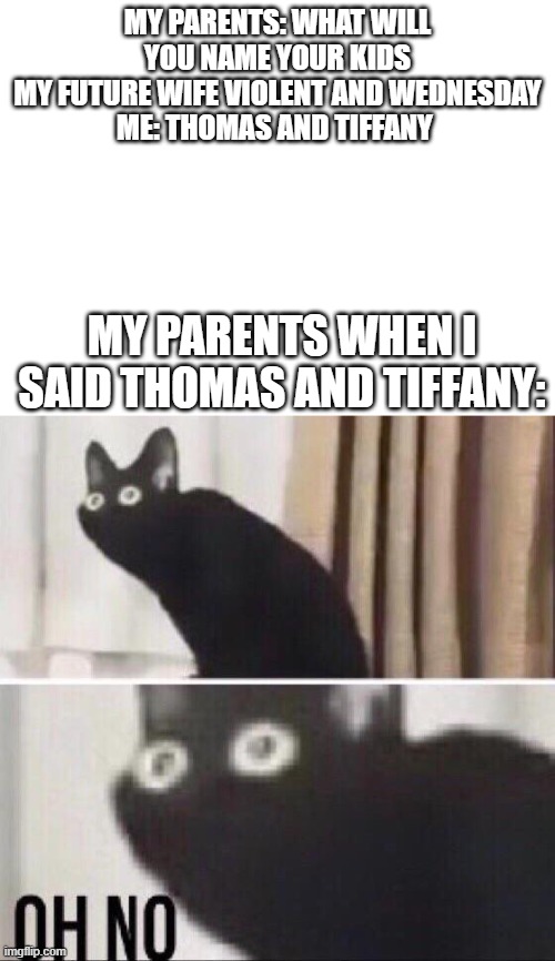 My first 2 kids are gonna be named after the Matrix | MY PARENTS: WHAT WILL YOU NAME YOUR KIDS
MY FUTURE WIFE VIOLENT AND WEDNESDAY
ME: THOMAS AND TIFFANY; MY PARENTS WHEN I SAID THOMAS AND TIFFANY: | image tagged in blank white template,oh no cat | made w/ Imgflip meme maker