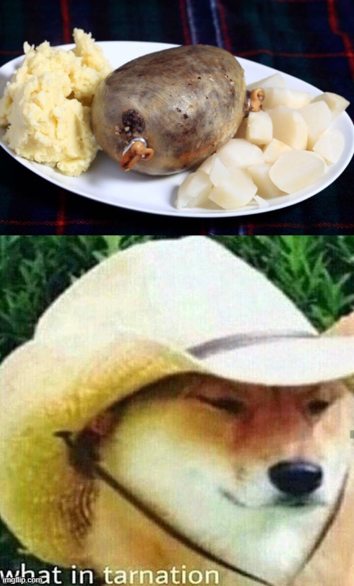 Cold meat still wrapped in plastic? That's very disturbing ;-; | image tagged in what in tarnation dog | made w/ Imgflip meme maker