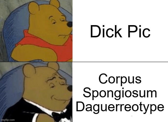 Tuxedo Winnie The Pooh Meme | Dick Pic; Corpus Spongiosum Daguerreotype | image tagged in memes,tuxedo winnie the pooh | made w/ Imgflip meme maker