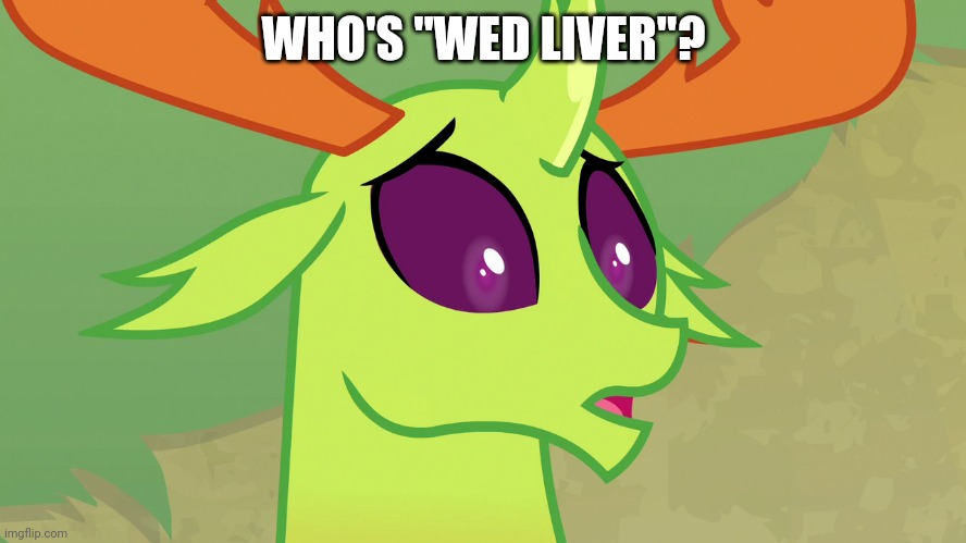 Confused Thorax (MLP) | WHO'S "WED LIVER"? | image tagged in confused thorax mlp | made w/ Imgflip meme maker