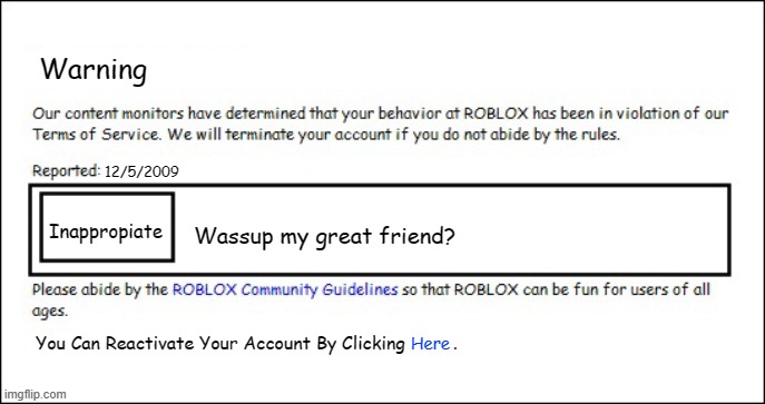 Moderation Be Like: | Warning; 12/5/2009; Wassup my great friend? Inappropiate; Here; You Can Reactivate Your Account By Clicking         . | image tagged in banned from roblox 2008 interface edition | made w/ Imgflip meme maker
