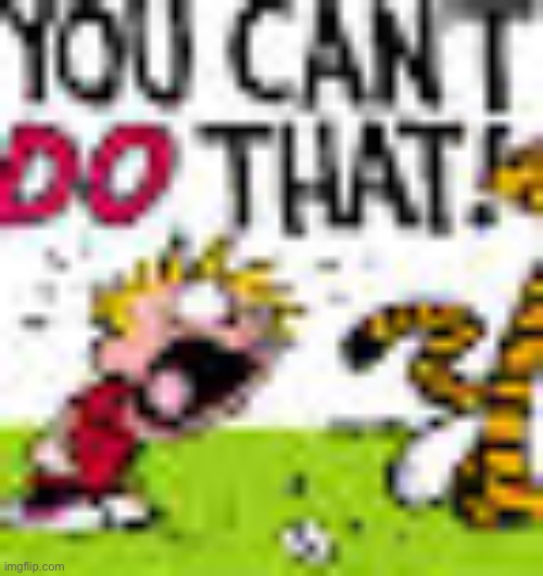 Calvin And Hobbes "You can't DO THAT!" | image tagged in calvin and hobbes you can't do that | made w/ Imgflip meme maker