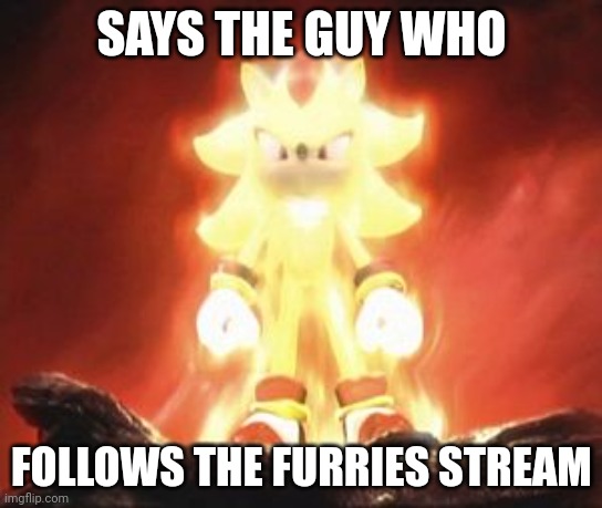 Super Shadow | SAYS THE GUY WHO FOLLOWS THE FURRIES STREAM | image tagged in super shadow | made w/ Imgflip meme maker