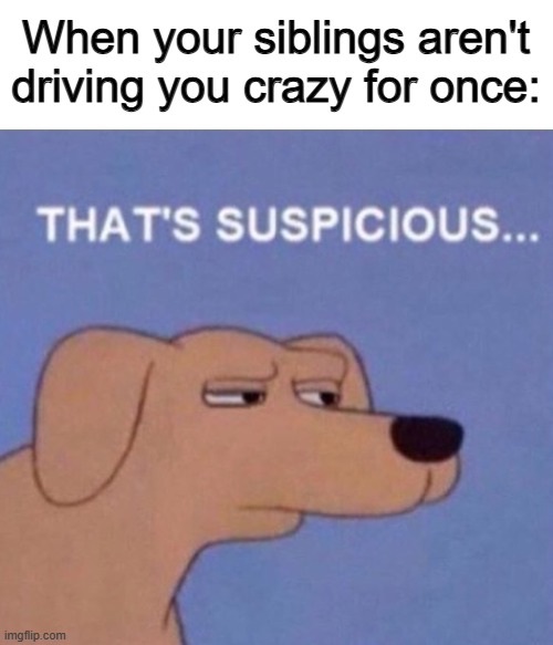 Unless it's a special holiday, something's wrong... | When your siblings aren't driving you crazy for once: | made w/ Imgflip meme maker