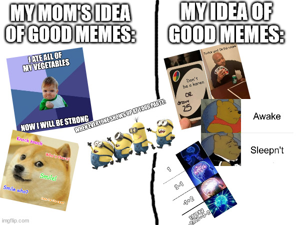 Wait this is basically 6 memes inside of a meme | MY IDEA OF GOOD MEMES:; MY MOM'S IDEA OF GOOD MEMES: | image tagged in boomer,gen z humor | made w/ Imgflip meme maker