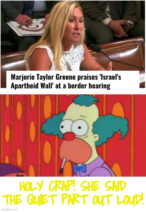 Remember when Apartheid and Ethnic Cleansing were BAD things? | HOLY CRAP! SHE SAID THE QUIET PART OUT LOUD! | image tagged in quiet part out loud,israel,israeli apartheid,free palestine,zionism is nazism,israel is a white colonial state | made w/ Imgflip meme maker