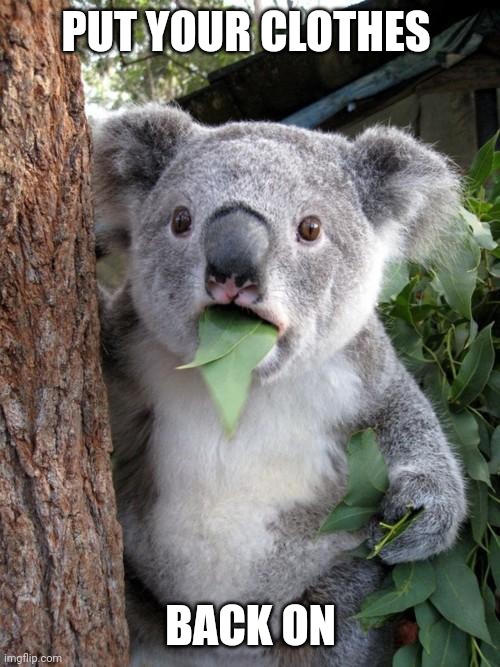 Surprised Koala | PUT YOUR CLOTHES; BACK ON | image tagged in memes,surprised koala | made w/ Imgflip meme maker