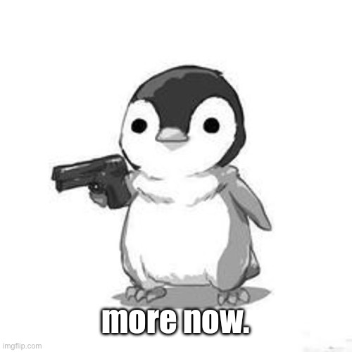Penguin Holding Gun | more now. | image tagged in penguin holding gun | made w/ Imgflip meme maker