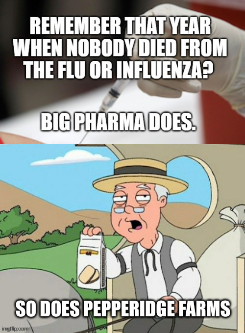 Remember the year the flu vanished?  They don't want you remembering that... | image tagged in covid,truth,flu | made w/ Imgflip meme maker