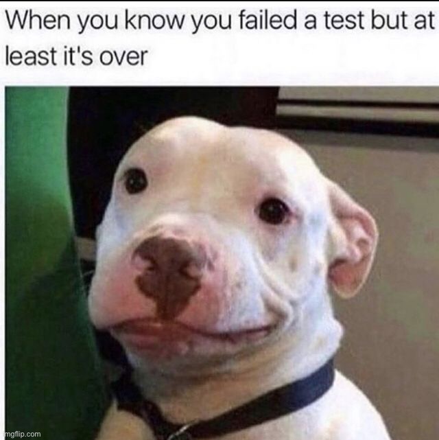 image tagged in memes,funny | made w/ Imgflip meme maker