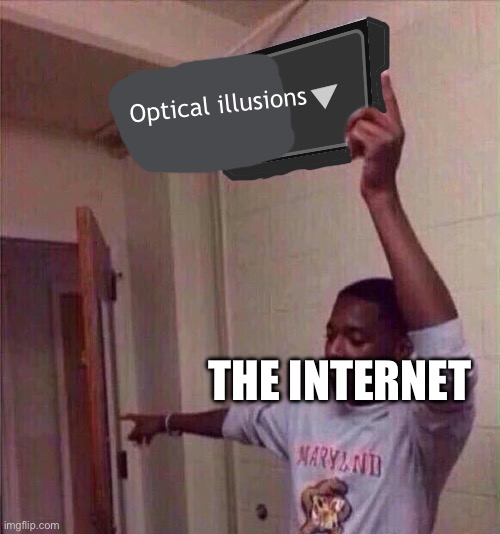 Go back to X stream. | Optical illusions THE INTERNET | image tagged in go back to x stream | made w/ Imgflip meme maker