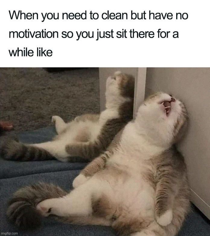 image tagged in memes,funny | made w/ Imgflip meme maker