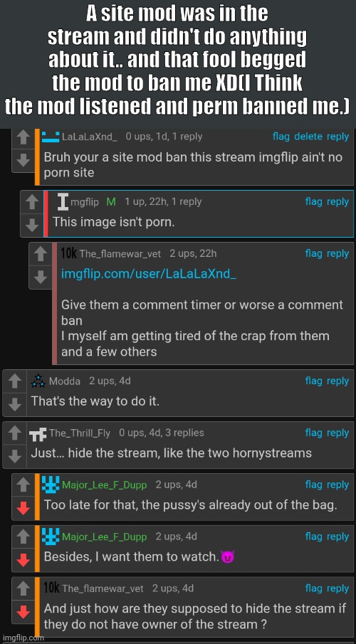 ??? | A site mod was in the stream and didn't do anything about it.. and that fool begged the mod to ban me XD(I Think the mod listened and perm banned me.) | image tagged in wtf,site mods,stupid,anti anime | made w/ Imgflip meme maker