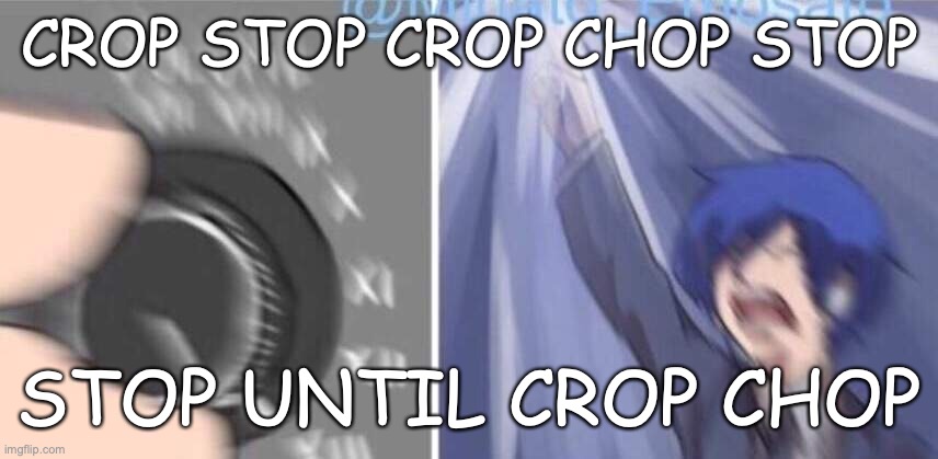 WILDDD | CROP STOP CROP CHOP STOP; STOP UNTIL CROP CHOP | image tagged in wilddd | made w/ Imgflip meme maker