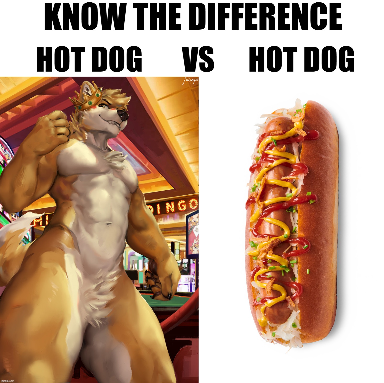 That hot dog does look pretty good though. xD | KNOW THE DIFFERENCE; HOT DOG       VS      HOT DOG | image tagged in blank white template | made w/ Imgflip meme maker