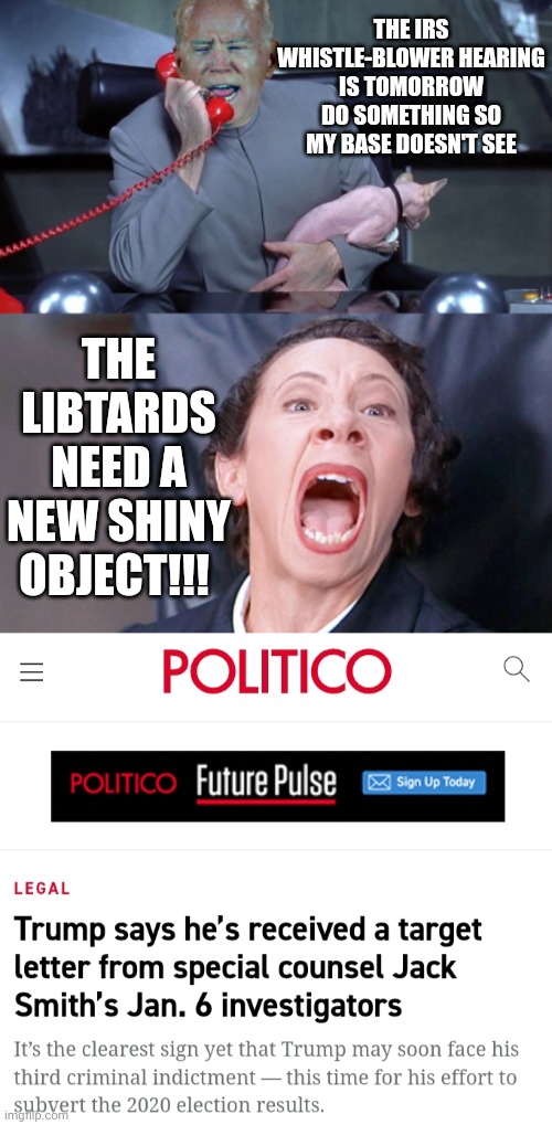 THE IRS WHISTLE-BLOWER HEARING IS TOMORROW DO SOMETHING SO MY BASE DOESN'T SEE; THE LIBTARDS NEED A NEW SHINY OBJECT!!! | image tagged in biden | made w/ Imgflip meme maker