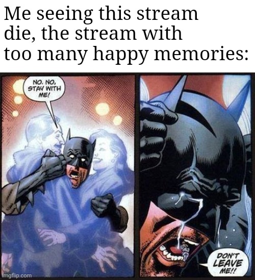 This stream was a cannon event | Me seeing this stream die, the stream with too many happy memories: | image tagged in batman don't leave me | made w/ Imgflip meme maker