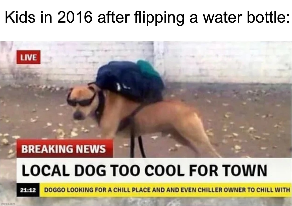 Too cool for school | Kids in 2016 after flipping a water bottle: | image tagged in local dog too cool for town,memes,funny,true story,relatable memes,school | made w/ Imgflip meme maker