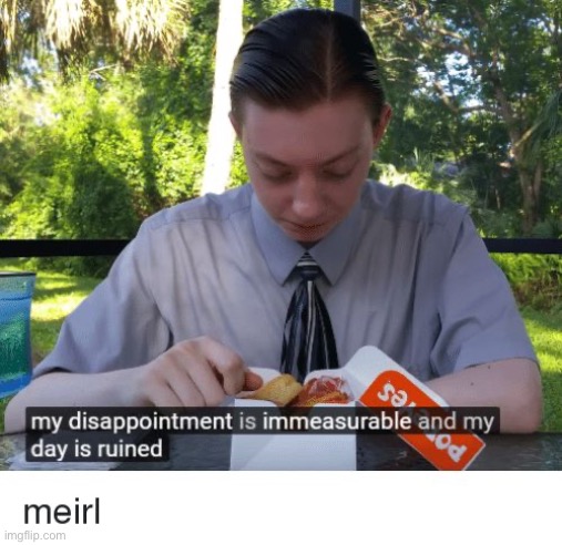 My disappointment is immeasurable and my day is ruined | image tagged in my disappointment is immeasurable and my day is ruined | made w/ Imgflip meme maker