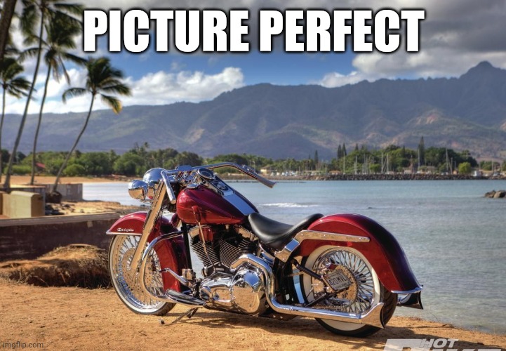 PICTURE PERFECT | image tagged in harley davidson,beach | made w/ Imgflip meme maker