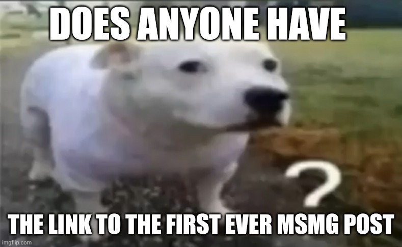 ? | DOES ANYONE HAVE; THE LINK TO THE FIRST EVER MSMG POST | made w/ Imgflip meme maker