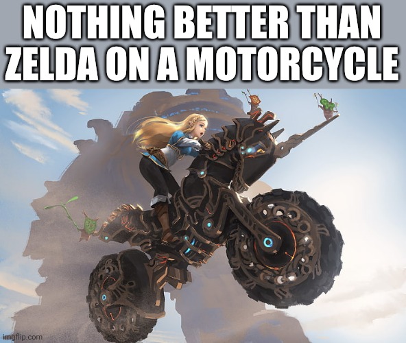 NOTHING BETTER THAN ZELDA ON A MOTORCYCLE | image tagged in legend of zelda,motorcycle | made w/ Imgflip meme maker