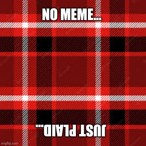 Just plaid | NO MEME... JUST PLAID... | image tagged in plaid | made w/ Imgflip meme maker