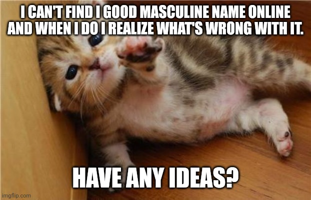 I'm genderfaun if that helps give you ideas | I CAN'T FIND I GOOD MASCULINE NAME ONLINE AND WHEN I DO I REALIZE WHAT'S WRONG WITH IT. HAVE ANY IDEAS? | image tagged in help me kitten,names | made w/ Imgflip meme maker